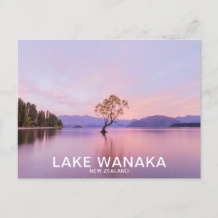 Carte Postale Wanaka Tree Sunrise Nature Travel
