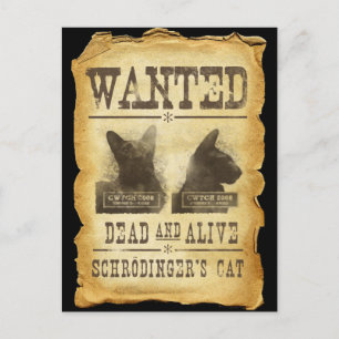 Carte Postale Wanted dead and alive. Chroedinger's cat.