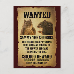 Carte Postale Wanted Poster with Squirrel