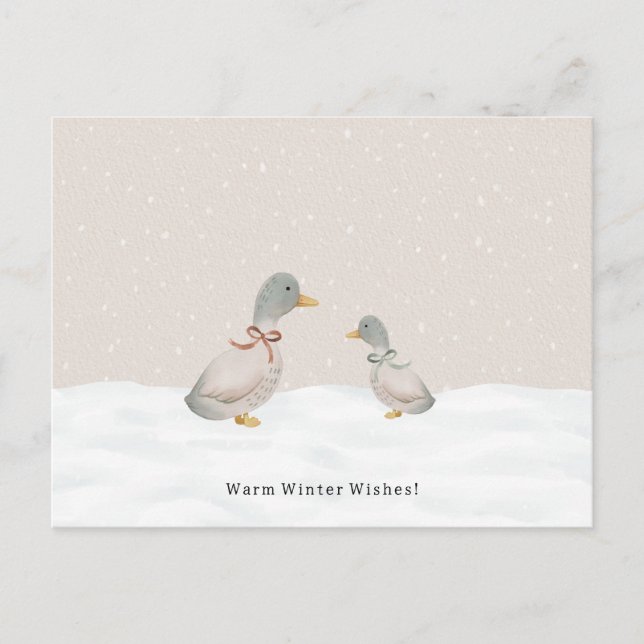 Carte Postale Warm Winter Wishes Cute Ducks In The Snow Card (Devant)