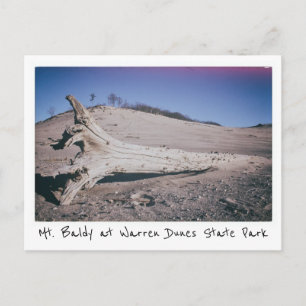 Carte Postale Warren Dunes State Park Mt. Baldy Michigan