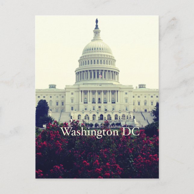 Carte Postale Washington DC (Devant)
