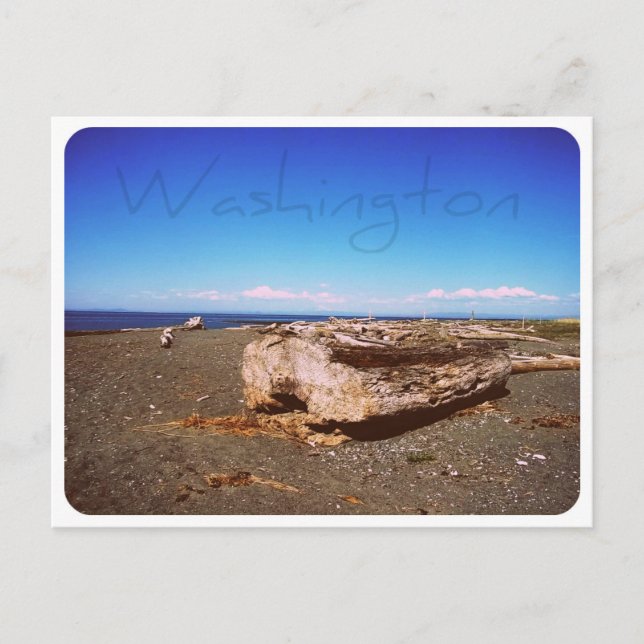 Carte Postale Washington State Seashore : Photo (Devant)