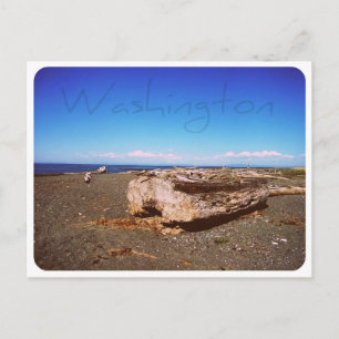 Carte Postale Washington State Seashore : PHOTOGRAPHE