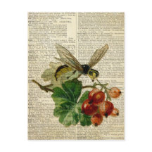 wasp floral art sur la page de dictionnaire vintag