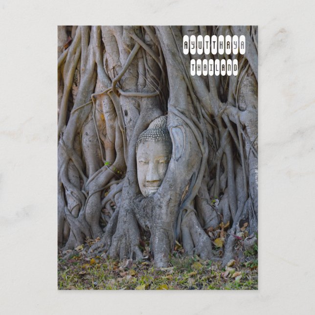 Carte Postale Wat Mahathat Bouddha Head (Devant)