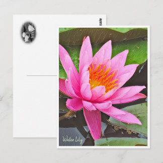 Carte Postale Water Lily ポストカード
