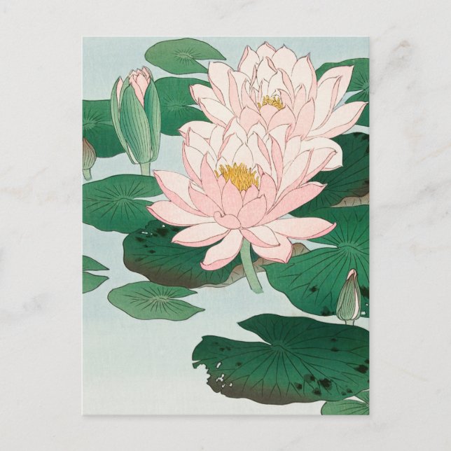 Carte Postale Water Lily par Ohara Koson, Floral Art Japonais (Devant)