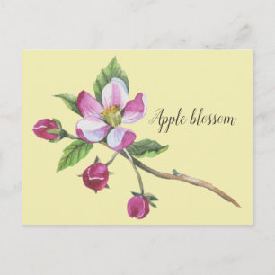 Carte Postale Watercolor Apple Blossom Botanical