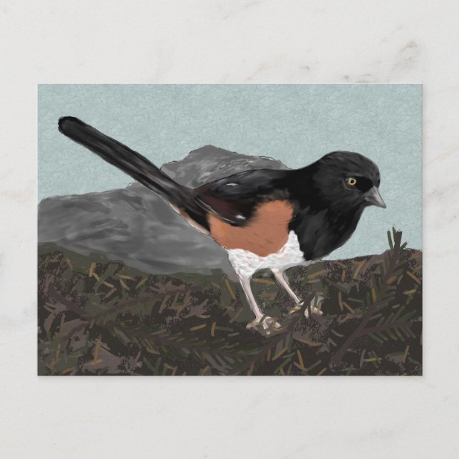 Carte postale Watercolor Eastern Towhee (Devant)