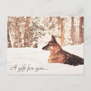 Carte Postale Watercolor German Shepherd Certificat cadeau