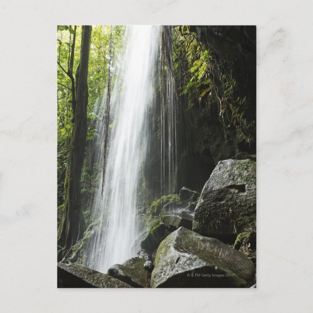 Carte Postale Waterfal, dans la forêt tropicale, la Dominique, (Devant)