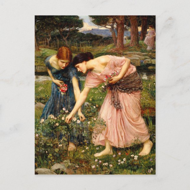 Carte postale Waterhouse Gather Ye Rosebuds (Devant)