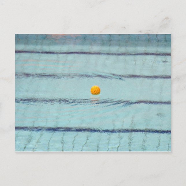 Carte Postale Waterpolo (Devant)