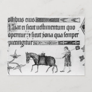 Carte Postale Waterseller, illustration de Luttrell Psalter