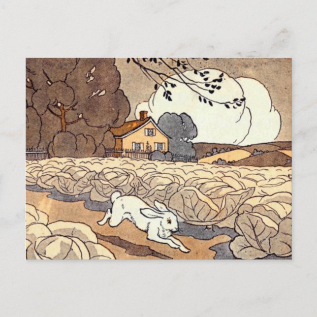 Carte Postale Watership Down (Devant)