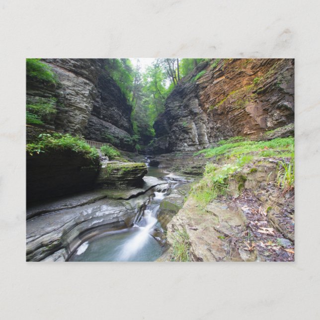 Carte Postale Watkins Glen State Park, New York (Devant)