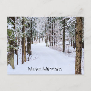 Carte Postale Wausau Wisconsin en hiver