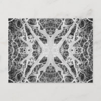 Carte postale Web Inverse Treetop Spider