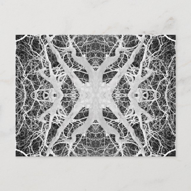 Carte postale Web Inverse Treetop Spider (Devant)