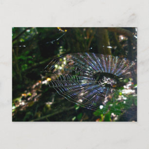 Carte postale Web Leugauge Orb