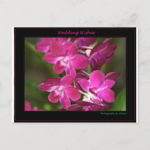 Carte Postale Wedding one