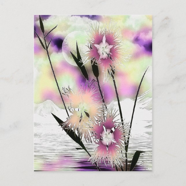 Carte Postale Weeds & Mist Nature Art (Devant)