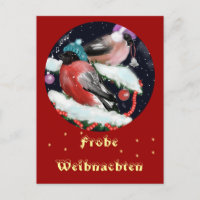 Weihnachtsgruss, Dompfaff