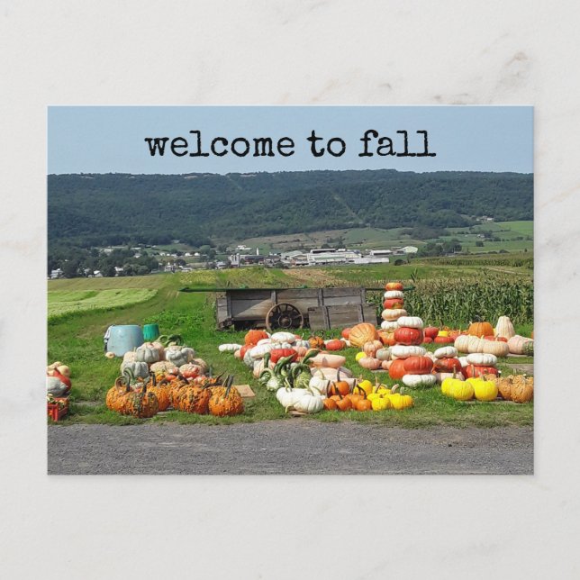 Carte Postale welcome to fall pumpkin farm post card (Devant)