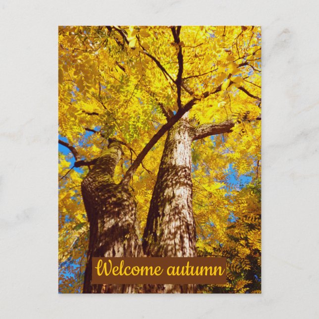 Carte Postale welcomum (Devant)