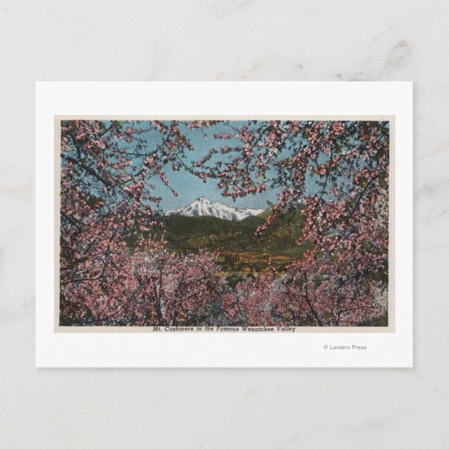 Carte Postale Wenatchee, WAView du mont Cashmere avec des arbres (Devant)