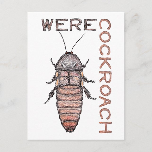 Carte postale Werecockroach (Devant)
