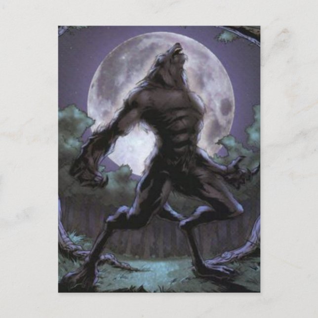 Carte Postale Werewolf hurle sur la lune (Devant)