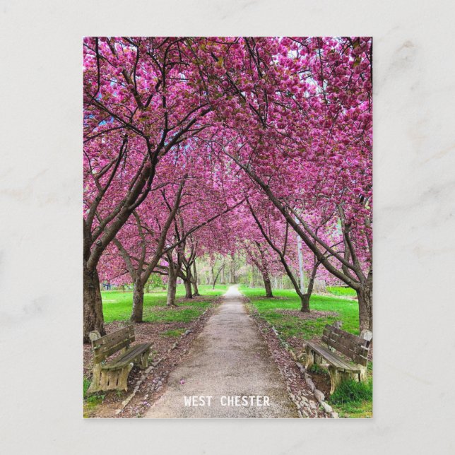 Carte postale West Chester Everhart Park (Devant)