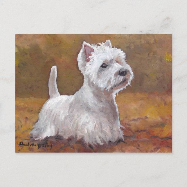 Carte postale West Highland White Terrier Dog Art (Devant)