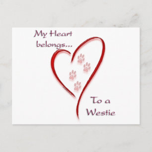Carte Postale West Highland White Terrier Heart Belongs