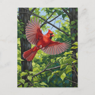Carte Postale West Virginia State Bird Northern Cardinal