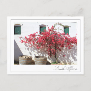 Carte Postale Western Cape Wine Farm Building Cityscape