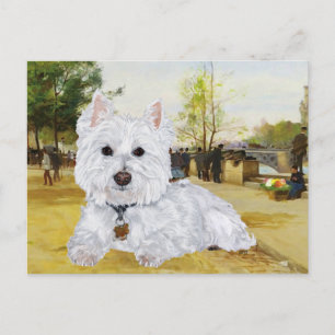 Carte postale Westie