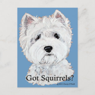 Carte Postale Westie a des écureuils ?