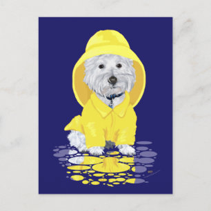 Carte Postale Westie Chien averses d'avril