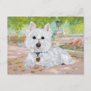 Carte Postale Westie dans le Parc
