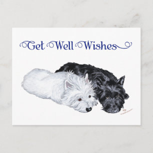 Carte Postale Westie et Scottie au repos