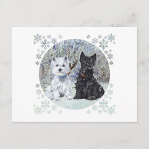 Carte Postale Westie et Scottie dans le paysage enneigé