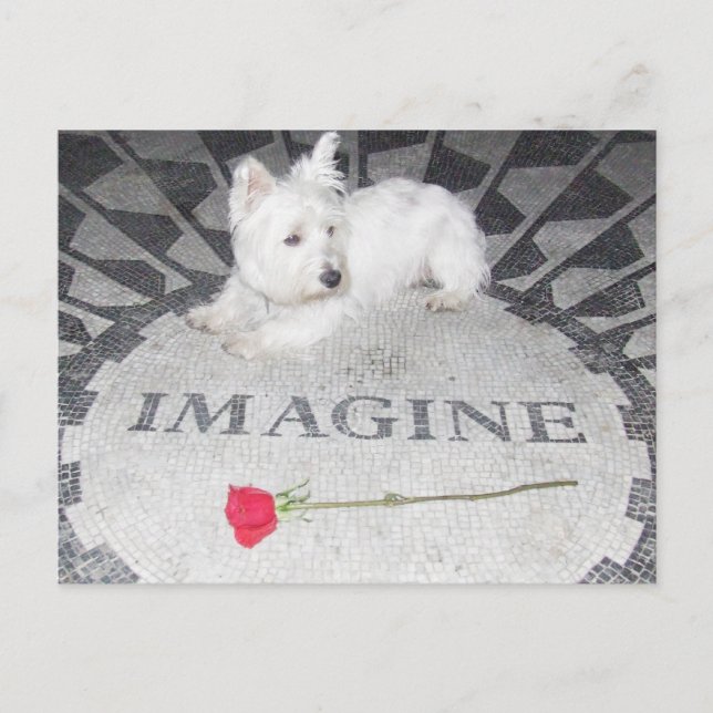 Carte Postale Westie imagine la paix mondiale (Devant)