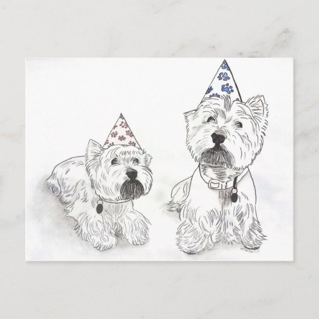 Carte Postale Westie Joyeux anniversaire (Devant)