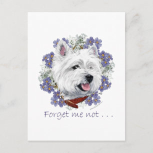 Carte Postale Westie Ne m'oubliez pas