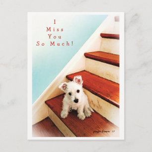 Carte Postale Westie Puppy On Step Missing You ! #2