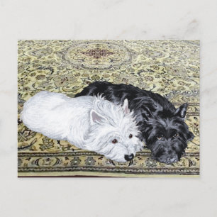 Carte Postale Westie & Scottie at Ease