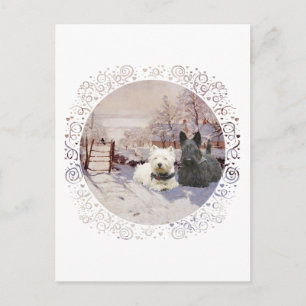 Carte Postale Westie & Scottie Hiver Pie